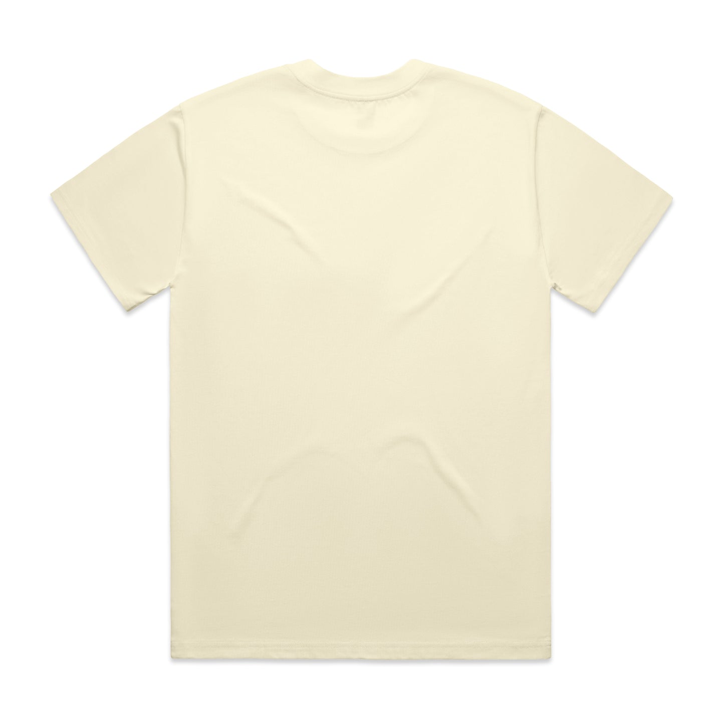 DS Men's Heavy Tee